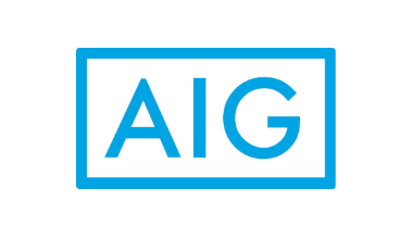 AIG손해보험